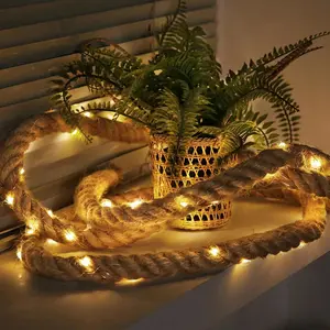 Tsinye Custom Battery 2 meters 20 lights luminous hemp rope string LED copper wire light winding decorative light