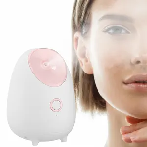 2023 Neue Trends 180ml Nano Ionic Face Steamer für Home Spa Mist Gesichts dampfer 3 in 1 Diffusor mit ätherischen Ölen