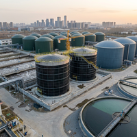 Digesteur de biogaz à grande échelle en acier au carbone Q355B, réacteur de 5000 m³ avec cuve automatique en verre doublée, boulonnée, anti-corrosion, sur mesure