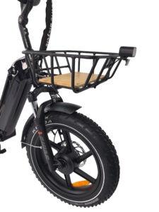 QUEENE/Bicicleta Eléctrica Familiar de Doble Motor y Doble Batería con Llantas Anchas, 48V40Ah de Largo Alcance, Cuadro de Aluminio, Dos Asientos - Product Image 4