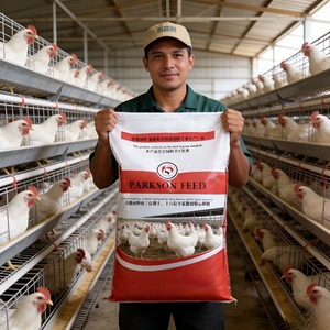 Premezcla para Pollos de Engorde, Multivitamínico y Mineral, Mejora la Inmunidad, Engorde Rápido, Matanza Temprana, Lisina, Metionina, Venta al por Mayor de Fábrica - Product Image 5