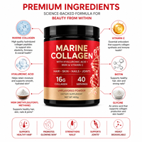Colágeno Marino Herbal en Polvo de Marca Privada OEM, 400g, para Cabello, Piel, Uñas y Articulaciones, con Ácido Hialurónico, MSM y Vitamina C, 40 Porciones