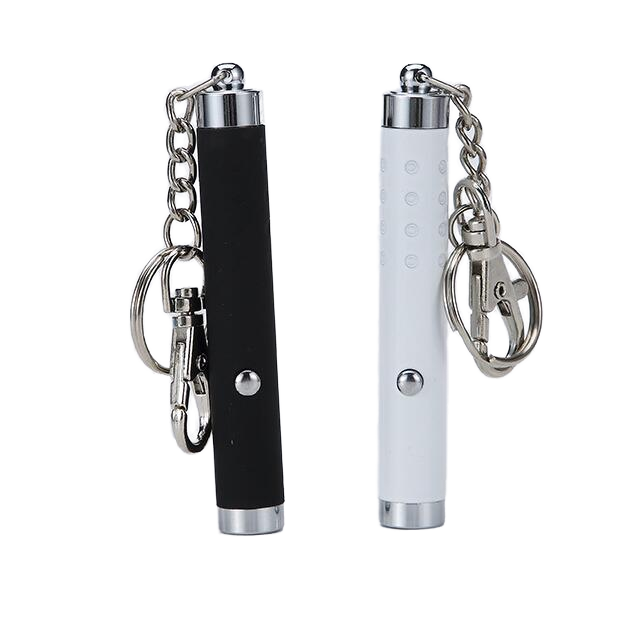 Factory Wholesale Mini Key Chain Green Laser Pen Metal Shell Multifunctional 2-in-1 Laser Pointer