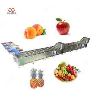 Laveuse et emballage <span class=keywords><strong>de</strong></span> graines <span class=keywords><strong>de</strong></span> jacquier commerciales traitant des machines à laver et à classer les <span class=keywords><strong>tomates</strong></span> fraîches - Product Image 4