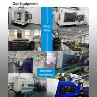 Molde de Inyección de Alta Precisión para ABS, PC, PEEK, PPS, Multicavidad, Sistema de Canales Calientes, Acero Duradero P20/H13, ISO 9001, Fabricante de Moldes en China