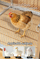 Vente en gros de grandes cages à poulets en métal de 100 cm, 130 cm, 150 cm, pour usage domestique, élevage, nichoirs pour volailles, canards, oies, poulets