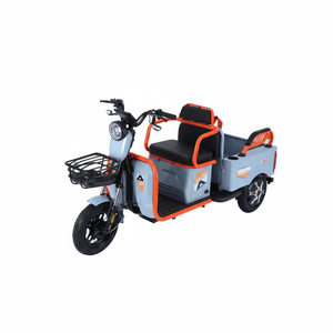 รถสามล้อไฟฟ้า 800 วัตต์ ความเร็วเดียว สำหรับผู้ใหญ่ แบบเปิดประทุน บรรทุกของได้ โครงเหล็ก มอเตอร์ดุมล้อหลัง 48 โวลต์ 600 วัตต์-ชั่วโมง - Product Image 1