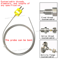 WRNK-161 Dual Pin Interface K-type Armored Thermocouple Temperature Sensor 304 Stainless Steel Probe IP65 OEM Laboratory