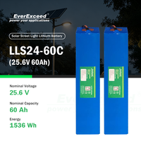 Baterai Surya LiFePO4 Pabrik Cina dengan BMS untuk Sistem Penyimpanan Lampu Jalan, Sistem Off Grid, dan Pembangkit Listrik Portabel