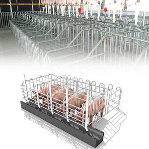 Jaula de Gestación HENGYIN HY-AFS de Venta al por Mayor en China, Diseño de Puerta Trasera, Uso en Granjas Porcinas, Material Galvanizado en Caliente, Larga Vida Útil - Product Image 3