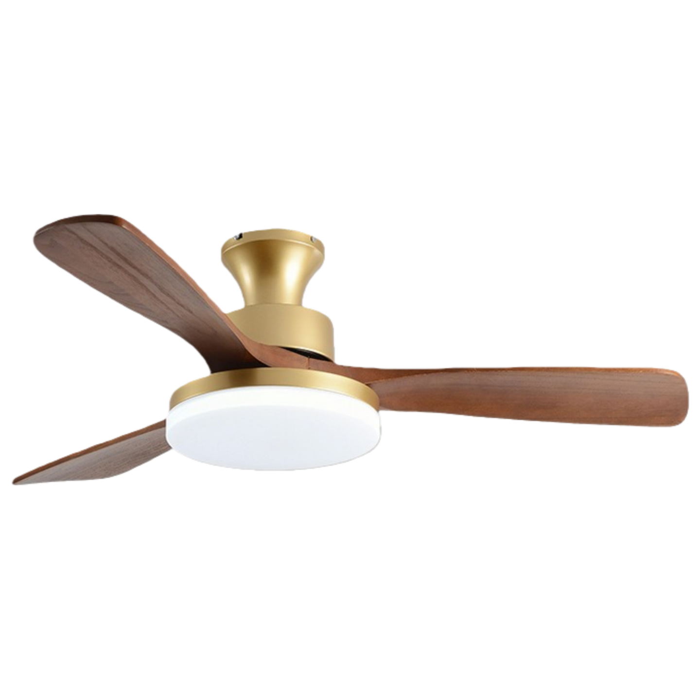 วอลนัทสีบรอนซ์