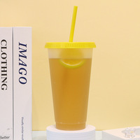 Vaso portátil de plástico de 500 ml a prueba de fugas, de calidad alimentaria, con pajita, para uso en aventuras al aire libre, para jugo, refresco o cerveza
