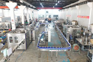 Completamente automatico linea di acqua minerale macchina di imbottigliamento di acqua per puro e minerale <span class=keywords><strong>AGU</strong></span> impianto di produzione di acqua in Nigeria - Product Image 3