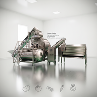 3000kg/u-10t/u Continue aardappel schilmachine, stoomschilapparaat voor wortelgroenten, fruit, wortelen, tomaten, yams en andere groenten
