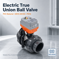 Vanne à boisseau sphérique électrique double union DN32 PVC PN10 filetée à haut débit CE IP67 pour système d'eau OEM Radiant RDNT-291 Garantie 1 an