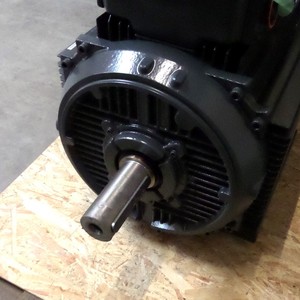 Motor Squirrel M3AA 250brand 2 3GAA251033-ADG NOV - Product Image 3