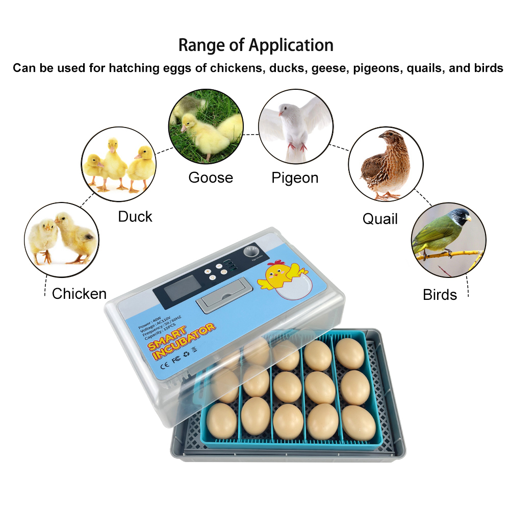 Incubadora De Huevos, Incubadora Automática 6/9/12 Huevos Doble Eléctrica Con Pantalla LED Digital Control Automático De Temperatura Y Rotación