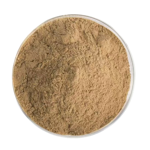 Extrait de Polyporus Umbellatus 30% 50% Polysaccharide de Polyporus <span class=keywords><strong>pour</strong></span> Compléments Alimentaires Aliments Fonctionnels Produits de Bien-être Quotidien - Product Image 3
