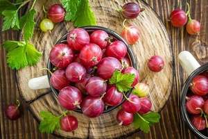 Горячая продажа экстракт крыжовника порошок 100% порошок амла - Product Image 3