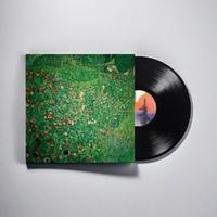 Vente en gros de disques vinyle Lp personnalisés avec toutes les méthodes d'emballage