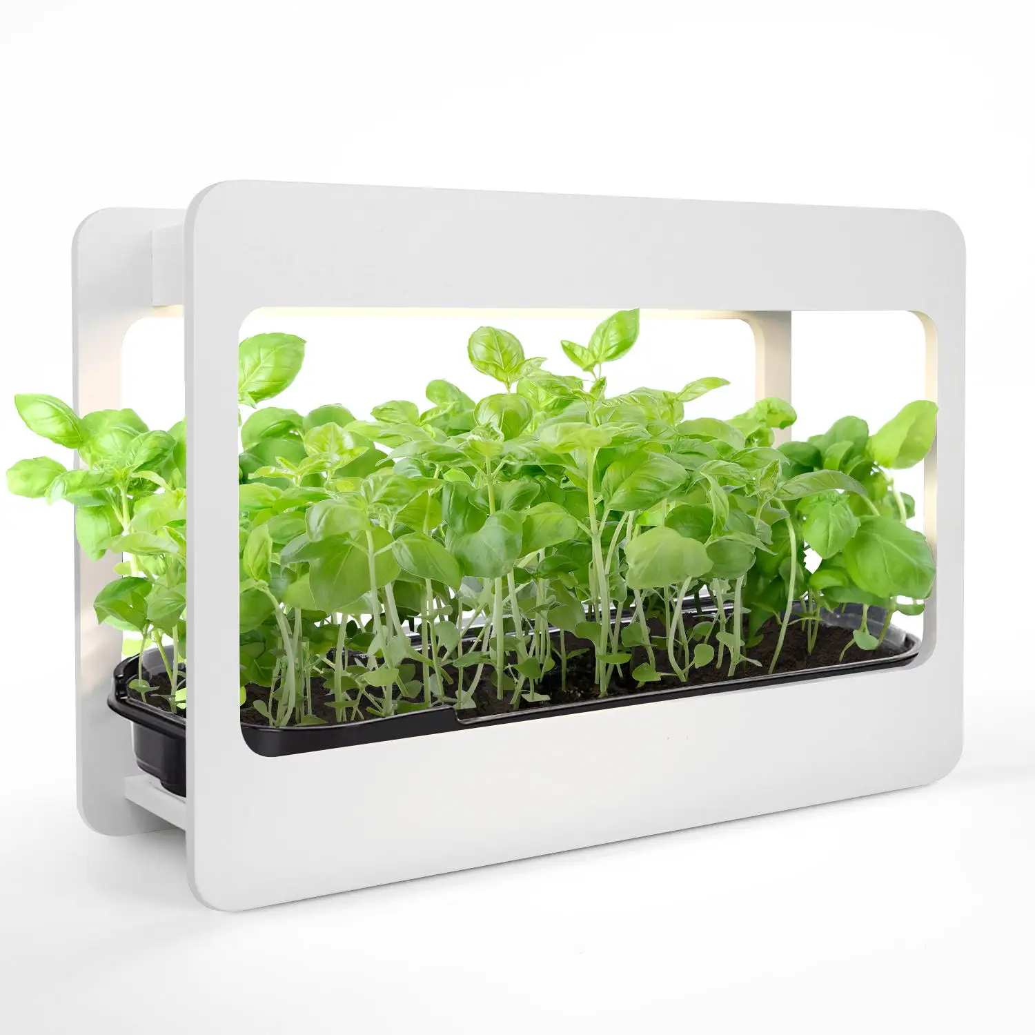 J & C Mini Garden Jardins d'herbes d'intérieur à spectre complet avec lumière de croissance LED Minuterie automatique Kit de jardin d'herbes aromatiques US Standard Plant Light