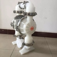 Pompes pneumatiques à membrane plastique Wilden série P8, pompes chimiques acides et alcalines avec membrane PTFE P8/PKAPP/TWS/TF/PTV