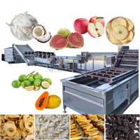 Industriële kokosnootcopra droogmachine, guave, avocado, arecanoot, appel, fruitdroogmachine