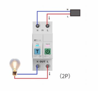 Disjoncteur miniature intelligent Wi-Fi à 2 pôles avec télécommande, mesure de consommation, matériau PA66, capacité de coupure 6kA, montage sur rail, 230V