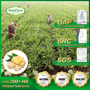 Chất Lượng Tốt Khô Số Lượng Lớn Gừng Tươi Giá Thị Trường Mỗi Tấn Bán Buôn Gingerbread Người Mua Để Mua Gừng Khô Xuất Khẩu Từ Trung Quốc - Product Image 3