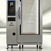 Four combiné électrique professionnel 20 GN 2/1 avec écran tactile, cuiseur vapeur intégré et chaudière 11,1 kW pour cuisine centralisée, hôtellerie et restauration