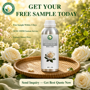 Aceite Absoluto de <span class=keywords><strong>Rosa</strong></span> Búlgara 100% Puro y Natural (<span class=keywords><strong>Rosa</strong></span> <span class=keywords><strong>Alba</strong></span>) Orgánico al por Mayor OEM, Fragancia Fina para Perfumería y Cosméticos - Product Image 5