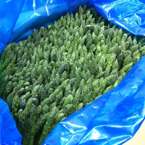 Bulk Good Quality IQF Vegetable Asparagus And Frozen IQF Spring Asparagus