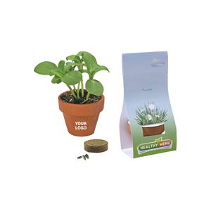 Kit de culture VasoFlor Welcome Peat Block Pot Plant, biodégradable, menu sain, cultivez vos propres herbes, ensemble de jardinage intérieur - Product Image 1