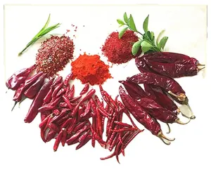 BİBER SOSU yapmak veya spiciness bin altın kırmızı eklemek için kullanılabilir kurutulmuş chilies