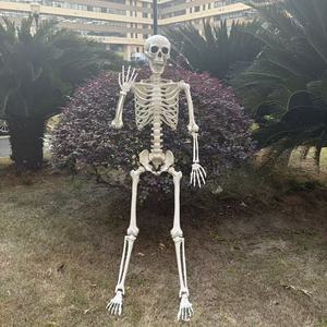 Squelettes humains d'<span class=keywords><strong>Halloween</strong></span> de bonne qualité et bon marché, <span class=keywords><strong>décoration</strong></span>, 5,4 pieds, 5 pieds, 160 cm, postures humaines, squelettes d'<span class=keywords><strong>Halloween</strong></span> - Product Image 2