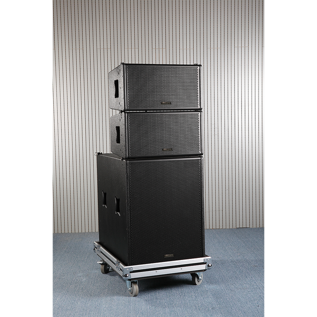 DSP 2-way Passive Loudspeaker and 800w Active Speaker Line Array Active Speaker Sound System