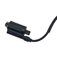 Bobina de Encendido para Kawasaki 2500 2510 2520 3000 3010 3020 4000 4010 KAF 620 KLR 650 OEM 21121-2092