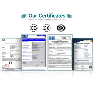 Pompe de surpression horizontale multi-étages de haute qualité 0,25 kW 0,34 CV avec turbine en laiton et joint mécanique pour maisons familiales - Product Image 6