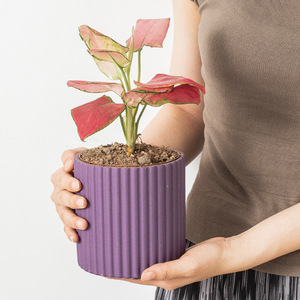 Nordic semplice cemento vaso di fiori <span class=keywords><strong>grande</strong></span> vaso di fiori gres retro balcone cortile ornamento per interni arredamento - Product Image 4