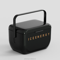 ICE TRIP 48 heures Keep Cool Blue Glacière en plastique PP pour contact alimentaire pour fruits et boissons