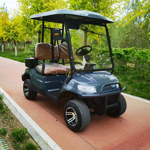 Carrito de Golf Premium 2025 de 2 Plazas - Oferta Exclusiva por Tiempo Limitado, Carrito de Golf Premium 2025 de 2 Plazas, Oferta por Tiempo Limitado, Carrito de Lujo 2025 - Product Image 6