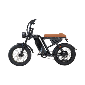 Bicicleta Eléctrica con Cuadro Hueco y Neumáticos Anchos, Batería Externa de Litio de 48V, Estilo Retro Urbano, Modelo CS-M4, Motor sin Escobillas de 750W, Disponible en EE. UU. - Product Image 3