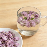 Thé en vrac naturel de fleurs de cerisier séchées de qualité supérieure 500g/sac, saveur Prunus Serrulata, thé santé brut en vrac et en tasses