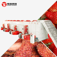 Industriële fruitdroogmachine, aardbeien-droogband, continue banddroger, fruitdroogmachine