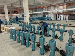 QD <span class=keywords><strong>pompe</strong></span> à <span class=keywords><strong>eau</strong></span> transparente verticale à haut débit, <span class=keywords><strong>pompe</strong></span> submersible - Product Image 3