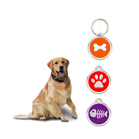 Prix usine RFID NFC contrôle d'accès intelligent époxy 13.56Mhz puces porte-clés logo personnalisé métal id qr code pet nfc rfid porte-clés étiquette