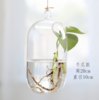 Vase en verre en forme de goutte d'eau, terrarium suspendu, support pour plantes aériennes, bouteille hydroponique, récipient, décoration de jardin, cadeau