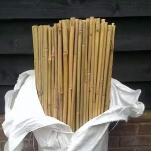 Estacas de Bambú Agrícolas de Alta Calidad, Estacas de Bambú para Jardín, Varillas de Soporte para Plantas, Venta al por Mayor, Fabricante de Bambú de Vietnam - Product Image 1