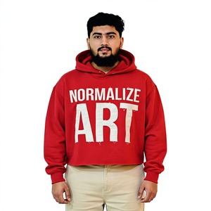 Nouveau Hoodie Court Personnalisé Vintage Délavé à l'Acide avec Broderie et Applique Effet Vieilli, Coupe Déchirée, Ourlet Brut, 100% Coton Sérigraphié - Product Image 1