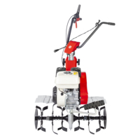 Motoculteur EUROSYSTEMS Motor-Hoe Euro 5 EVO 2 vitesses Guidon réglable Moteur série Gp160 Rotavator 75Cm avec disques